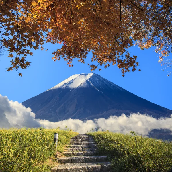 Bela paisagem com cor de fundo agradável — Fotografia de Stock