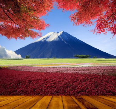 güzel manzara güzel doğa renkle görüntüleme