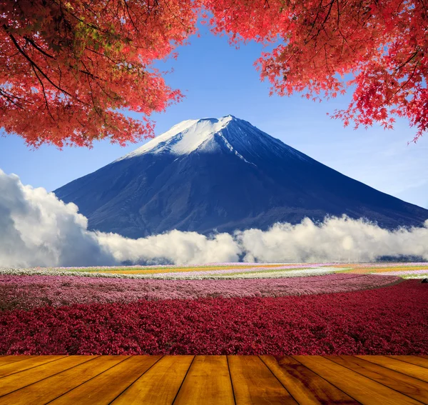 Imagistica peisajului frumos cu o culoare frumoasă a naturii — Fotografie, imagine de stoc