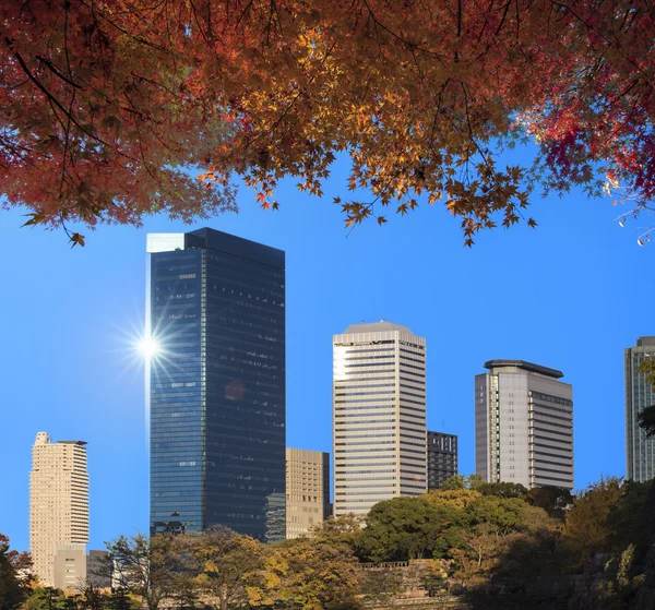 Kasteel Osaka stree weergave in Osaka, Japan — Stockfoto