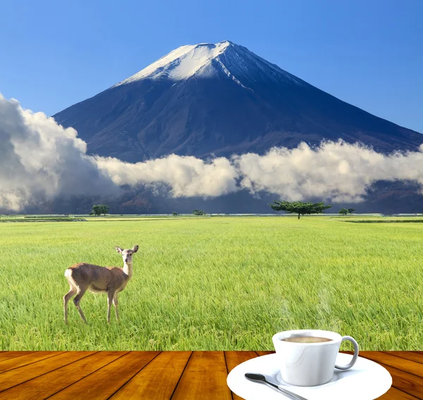 Beeldvorming van het prachtige landschap met mooie natuur kleur — Stockfoto