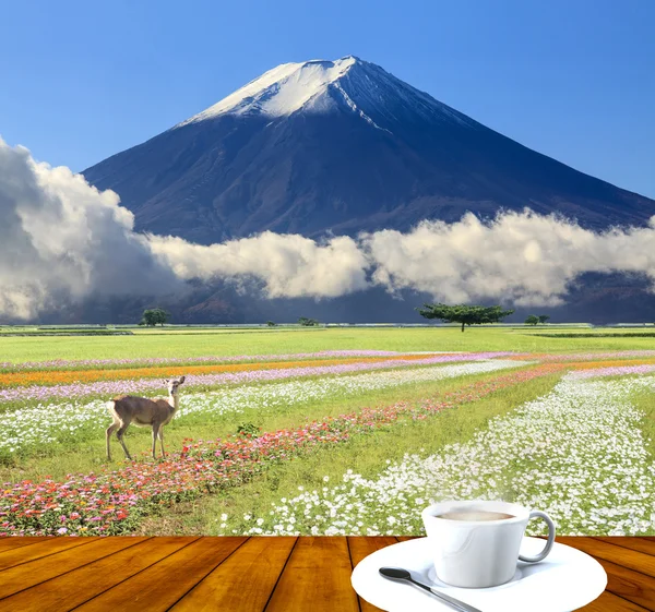 Beeldvorming van het prachtige landschap met mooie natuur kleur — Stockfoto