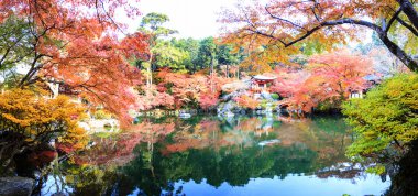Recai-ji Tapınağı renkli akçaağaç Güz, Kyoto, Capa ile