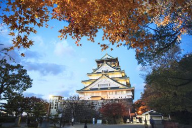 güzel arka plan rengiyle güzel Osaka Kalesi