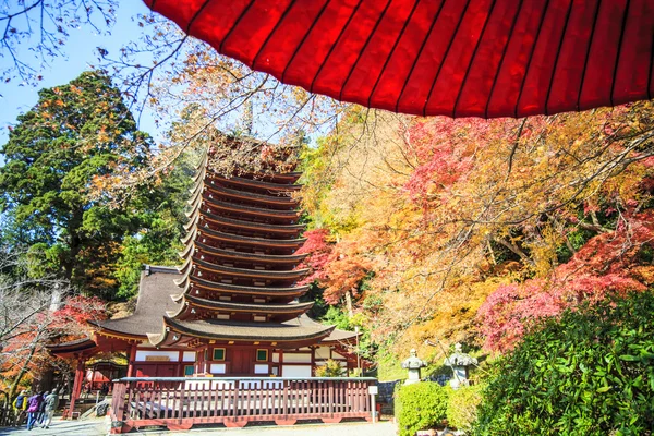 Tanzan Shrine , also known as the Danzan Shrine, is a Shinto shr — Stock Photo, Image