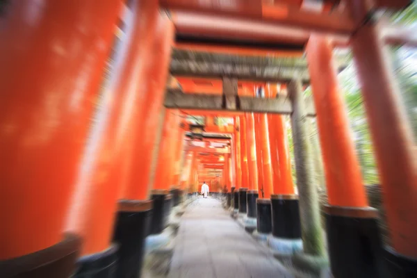 赤鳥ゲート選択京都府伏見稲荷神社 — ストック写真