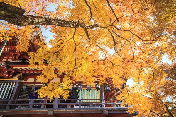 談山神社、Danzan 神社としても知られている神道 shr — ストック写真