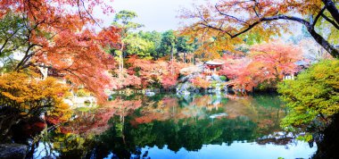 Recai-ji Tapınağı renkli akçaağaç Güz, Kyoto, Capa ile