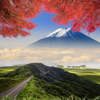 imageing yeşil yol ve güzel backgr güzel manzara