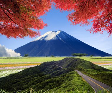 imageing yeşil yol ve güzel backgr güzel manzara