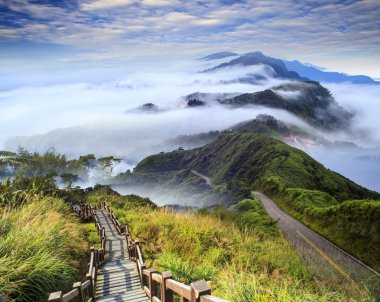 imageing yeşil yol ve güzel backgr güzel manzara