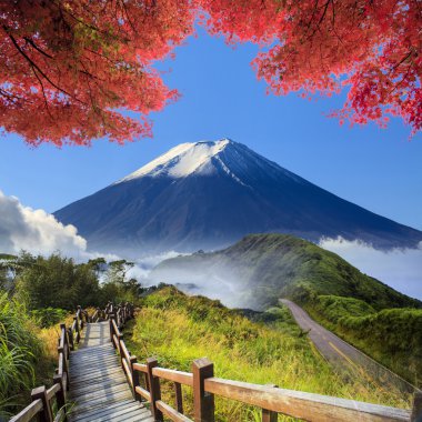 imageing yeşil yol ve güzel backgr güzel manzara