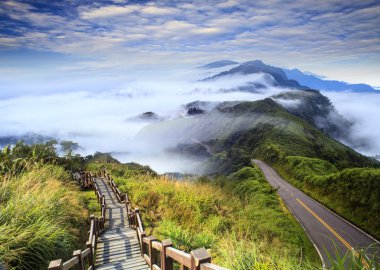 imageing yeşil yol ve güzel backgr güzel manzara