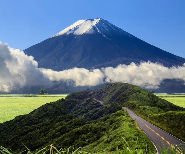 Imageing of beautiful landscapes with green road and nice backgr — Stock Photo, Image