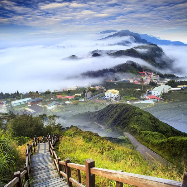 Immaginando bellissimi paesaggi con strada verde e bel backgr — Foto Stock