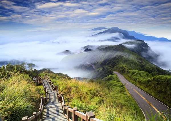 imageing yeşil yol ve güzel backgr güzel manzara