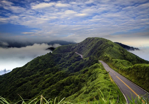 imageing yeşil yol ve güzel backgr güzel manzara