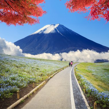 imageing of Mountain, Tree and Nemophila at Hitachi Seaside Park clipart