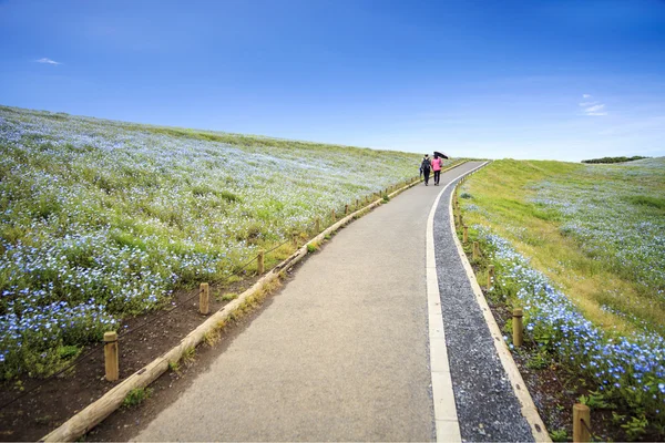 Imagen de Montaña, Árbol y Nemophila en Hitachi Seaside Park —  Fotos de Stock