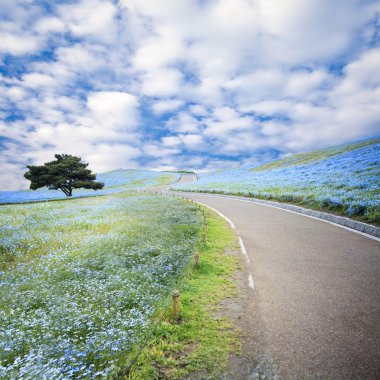 imageing of Mountain, Tree and Nemophila at Hitachi Seaside Park clipart