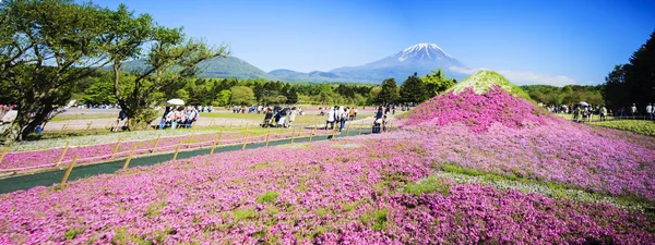 El Fuji con el campo de musgo rosa en el festival Shibazakura, Ya —  Fotos de Stock