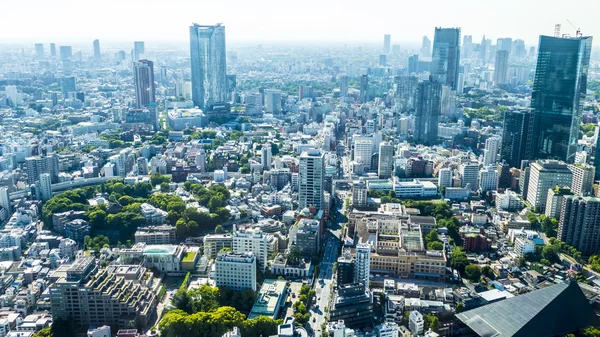 The full viw of Tokyo city in the summer — Stock Photo, Image