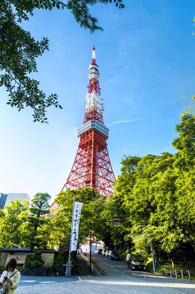 Tokyo tower w lato i zielone drzewo na może 13,2016 w Tokio, J — Zdjęcie stockowe