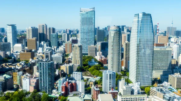 La piena vista della città di Tokyo in estate — Foto Stock
