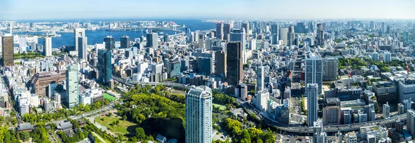 O viw cheio da cidade de Tóquio no verão — Fotografia de Stock