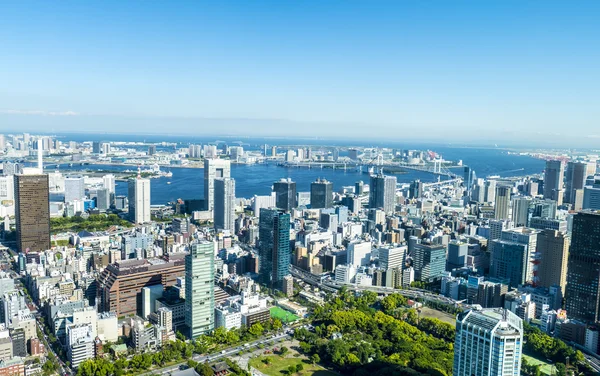 De volledige viw van Tokio stad in de zomer — Stockfoto