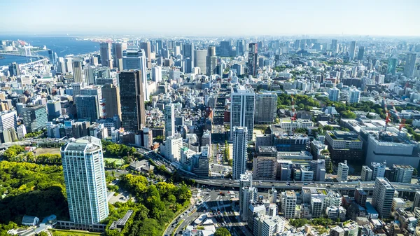 O viw cheio da cidade de Tóquio no verão — Fotografia de Stock