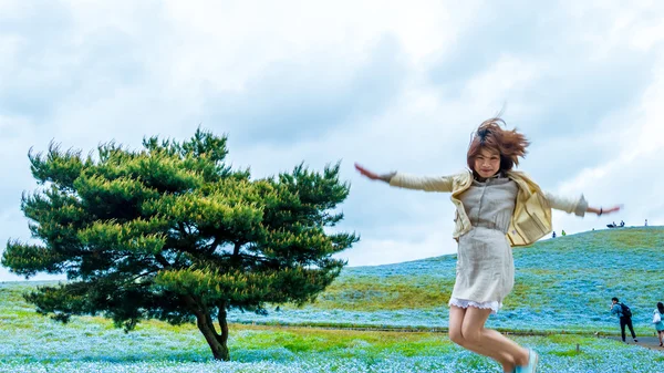 Tree and Nemophila at Hitachi Seaside Park in spring with blue s — Stock Photo, Image