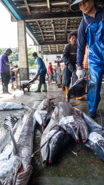 Balıkçı tekneleri dayalı Chenggong balıkçılık liman kaldırmak balıkçılık goo