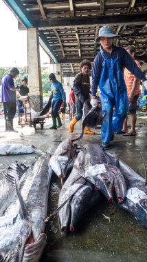 Balıkçı tekneleri dayalı Chenggong balıkçılık liman kaldırmak balıkçılık goo