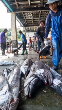 Balıkçı tekneleri dayalı Chenggong balıkçılık liman kaldırmak balıkçılık goo
