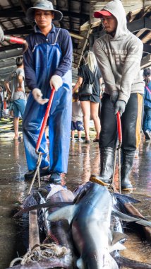 Balıkçı tekneleri dayalı Chenggong balıkçılık liman kaldırmak balıkçılık goo