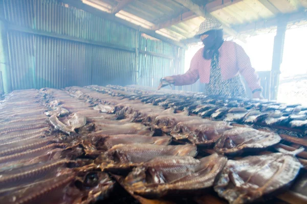 Peixe fumado no prato no verão, Taiwan — Fotografia de Stock