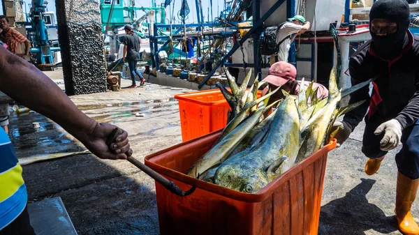 Fishing boats docked Chenggong Fishing Harbor remove fishing goo — Stock Photo, Image