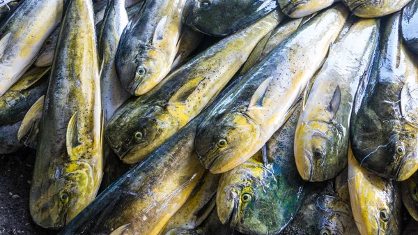 Fischerboote angedockt Chenggong Fischereihafen entfernen Fischerei goo — Stockfoto