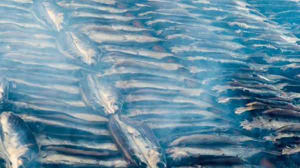 Geräucherter Fisch auf dem Teller im Sommer, Taiwan — Stockfoto