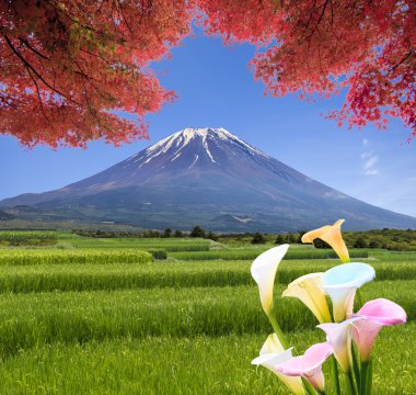 Güzel bir renk ile yaz dağda görünümünün sihirli manzara