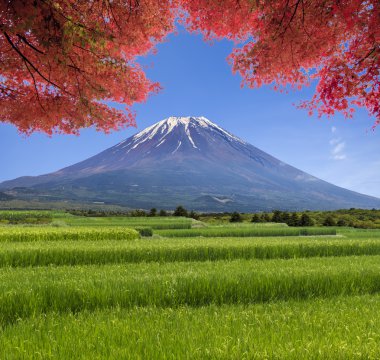 Güzel bir renk ile yaz dağda görünümünün sihirli manzara