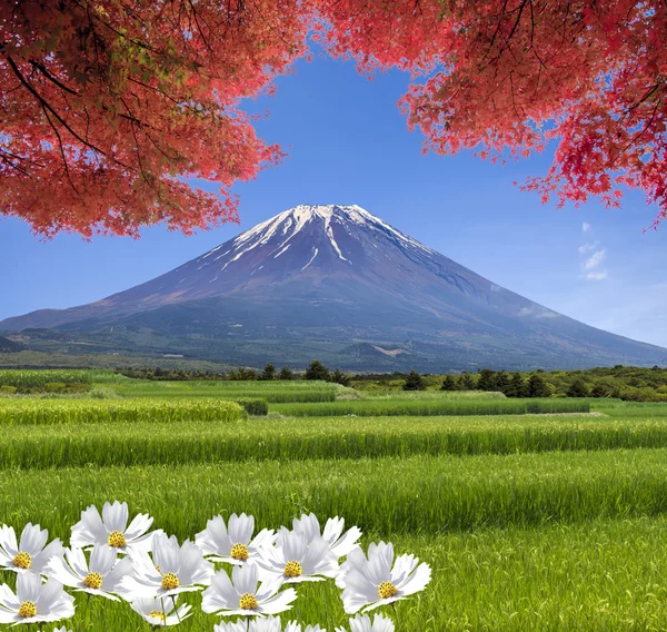 Magic landscape of view on summer mountain with nice color — Stock Photo, Image