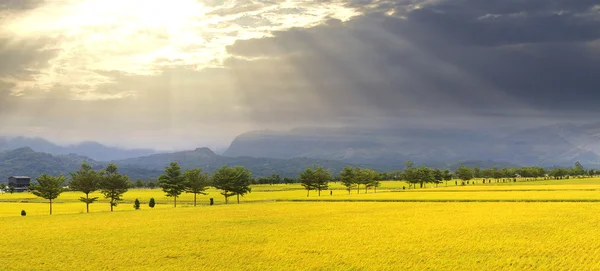 Mooi landschap met mooie kleur en wolken — Stockfoto
