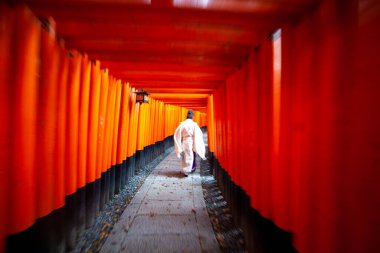 Geleneksel Japon kimonolu rahip Japonya 'nın Kyoto kentindeki Fushimi Inari Tapınağı' nda yürüyor.