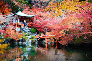 Japon mirası. Serene Ünlü Daigo-ji Tapınağı Güzel Kızıl Akçaağaç Sonbahar sezonu boyunca Japonya 'nın Kyoto şehrinde
