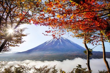 Fuji Dağı sonbaharda kırmızı akçaağaç yapraklarıyla, Japonya