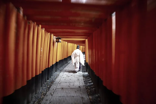 Kapłan Tradycyjnych Japońskich Kimonach Spacerujący Fushimi Inari Shrine Kioto Japonia — Zdjęcie stockowe