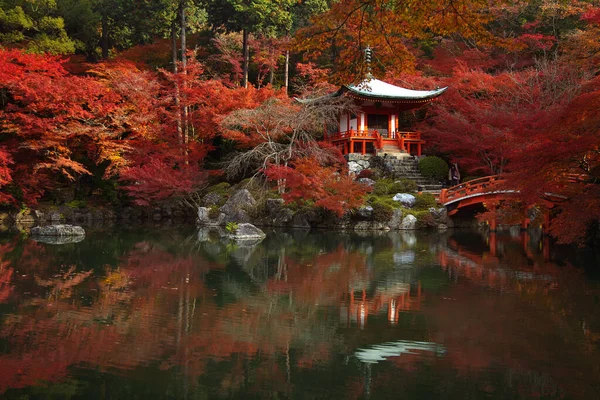 Japonské Dědictví Klidný Slavný Daigo Chrám Během Krásné Červené Javory — Stock fotografie