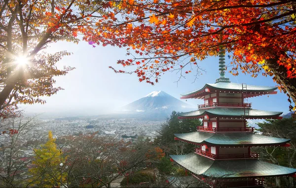 Imagen Fuji Otoño Con Hojas Arce Rojo Japón —  Fotos de Stock